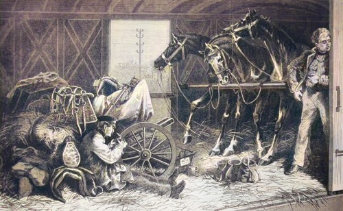 Cavalry Transport By Rail