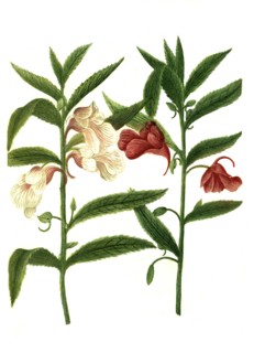1f-9491673
