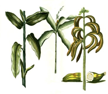 1f-9491681
