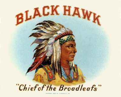 Black Hawk