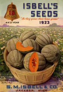 Melons on Catalogue
