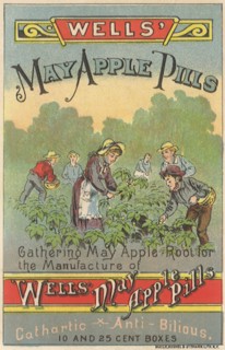 Farming Roots