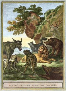 Sick Animals