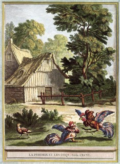 Partridge and Roosters