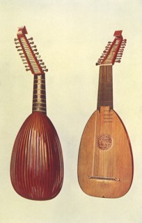 Rare Italian Lute
