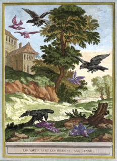 Preying Vultures