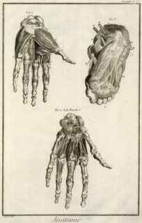 Hands and Foot