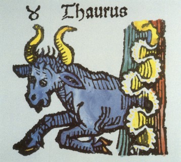 Taurus the Bull.