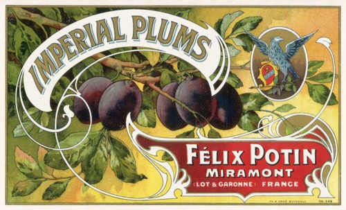 Branch with Ripe Plums.