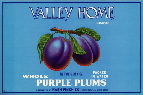 Ripe Plums.
