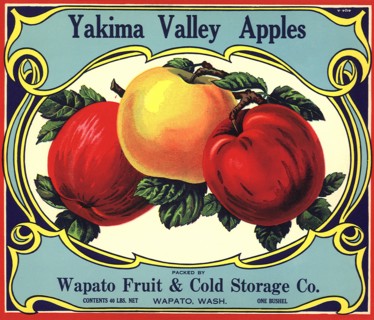 Three Ripe Apples.