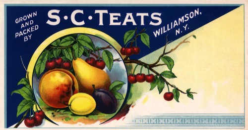 Circle of Fruit.