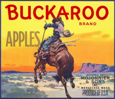 Bucking Bronco.
