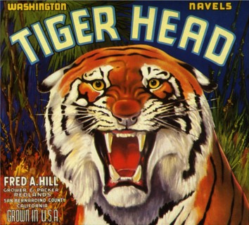 Tiger Fruit Label.