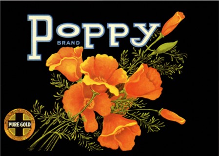 California Poppies.