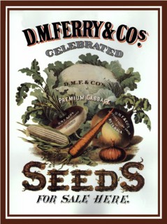 Vegetables.