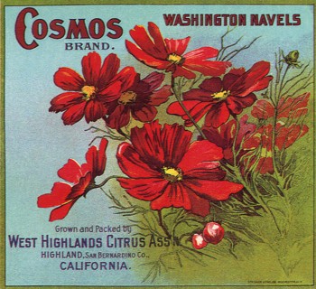 Red Flowers on Label.