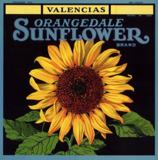 Sunflower Label.