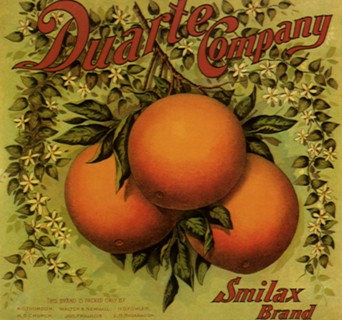 Orange Fruit Label.