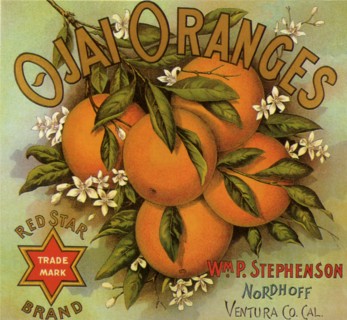 Orange Fruit Label.