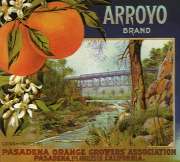 Oranges and Canyon.