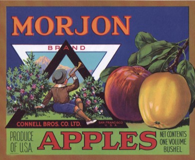 Apples, Bushes and Boy.