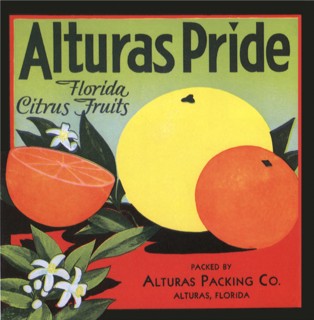 Citrus Fruit Label.