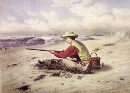 Beach Snipe Shooting.