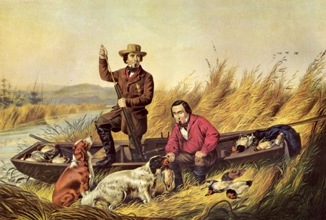 Wild Duck Shooting- A Good Day's Sport.