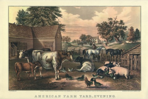 Classic Barnyard.