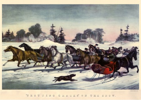 Trotting Cracks on The Snow.