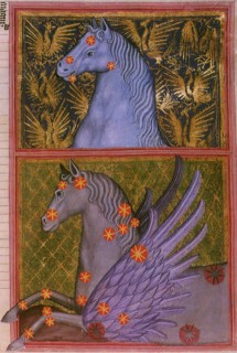 Pegasus and Equuleus.