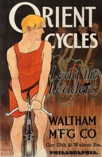 Orient Cycles.