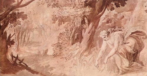 Medea Gathering Magic Plants.