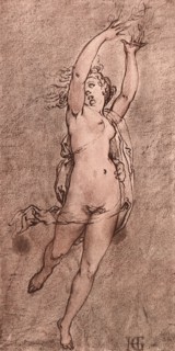 Daphne.