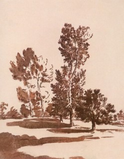 Study of a Standing Female Nude.