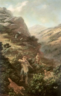 Marin County Hills.