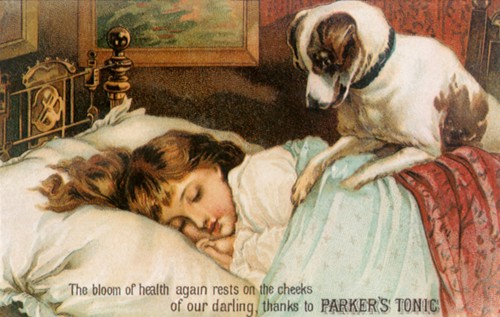 Dog wakes Little Girl.