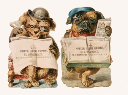 Two Dogs read Newspapers.