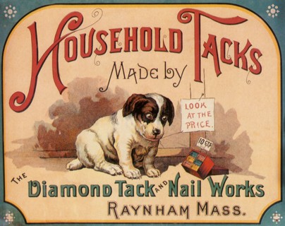 Dog looks at Box of Tacks.