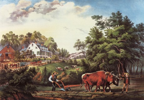American Farm Scenes.