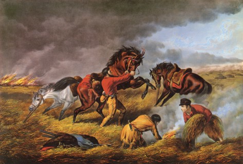 Life on the Prairie/The Trapper's Defense/Fire Fight Fire.