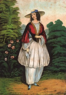 Bloomer Costume, The.