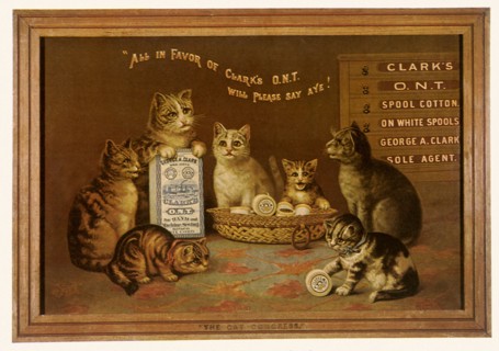 The Cat Congress.