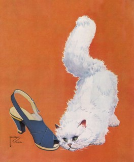 White Cat eyes Shoe.