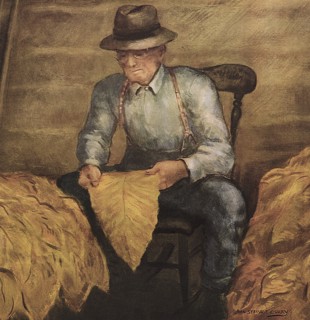 Old Farmer examines Tobacco Leaf.