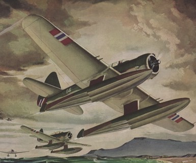 Norway's Northrop N3 Patrol Bombers.