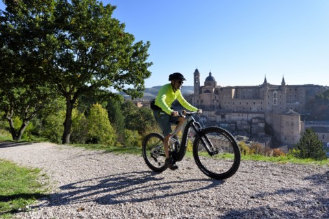 Urbino (Marche - PU)