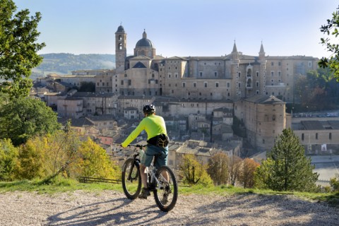 Urbino (Marche - PU)