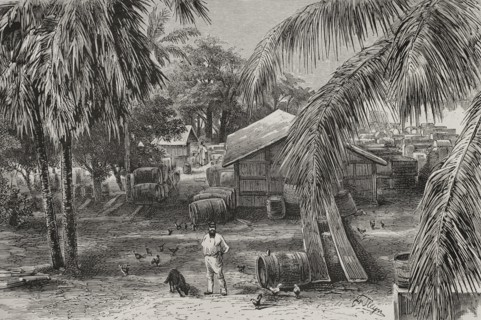 History of Africa